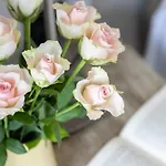 The Dog House With Hot Tub Σπίτι διακοπών *